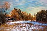 Marshalls Creek At Sunrise_05615